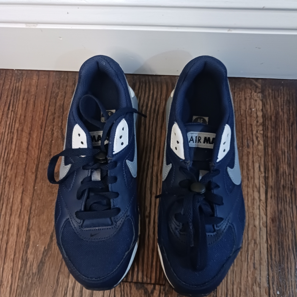 Nike Air Max Blue and White Sneakers